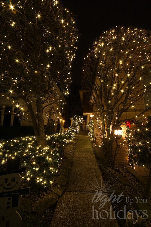 Sidewalk up to home at night, with trees and shrubs on each side with christmas lights.