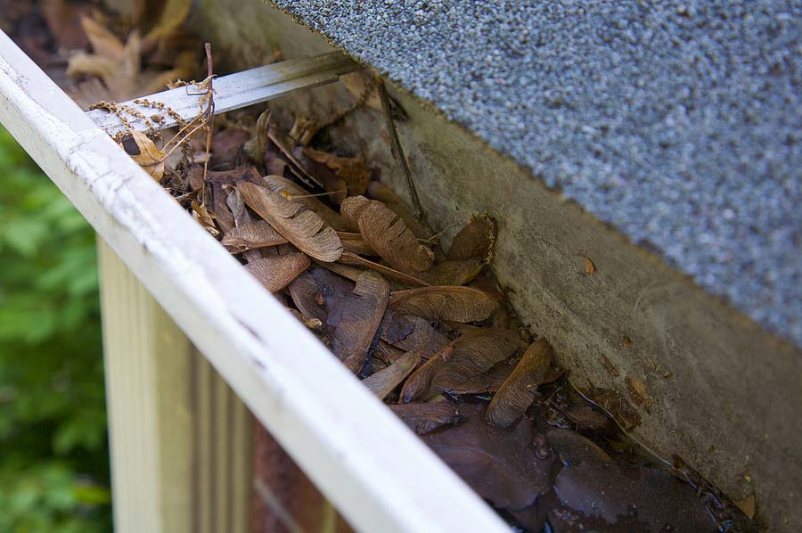 Close up of leaf filled dirty gutter needing Fall maintenance.