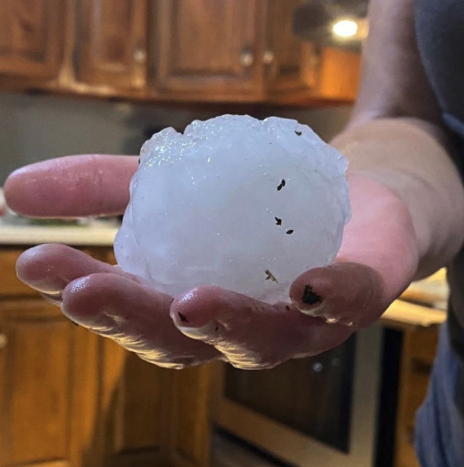 A person is holding a hail ball in their hand as a result of severe weather.
